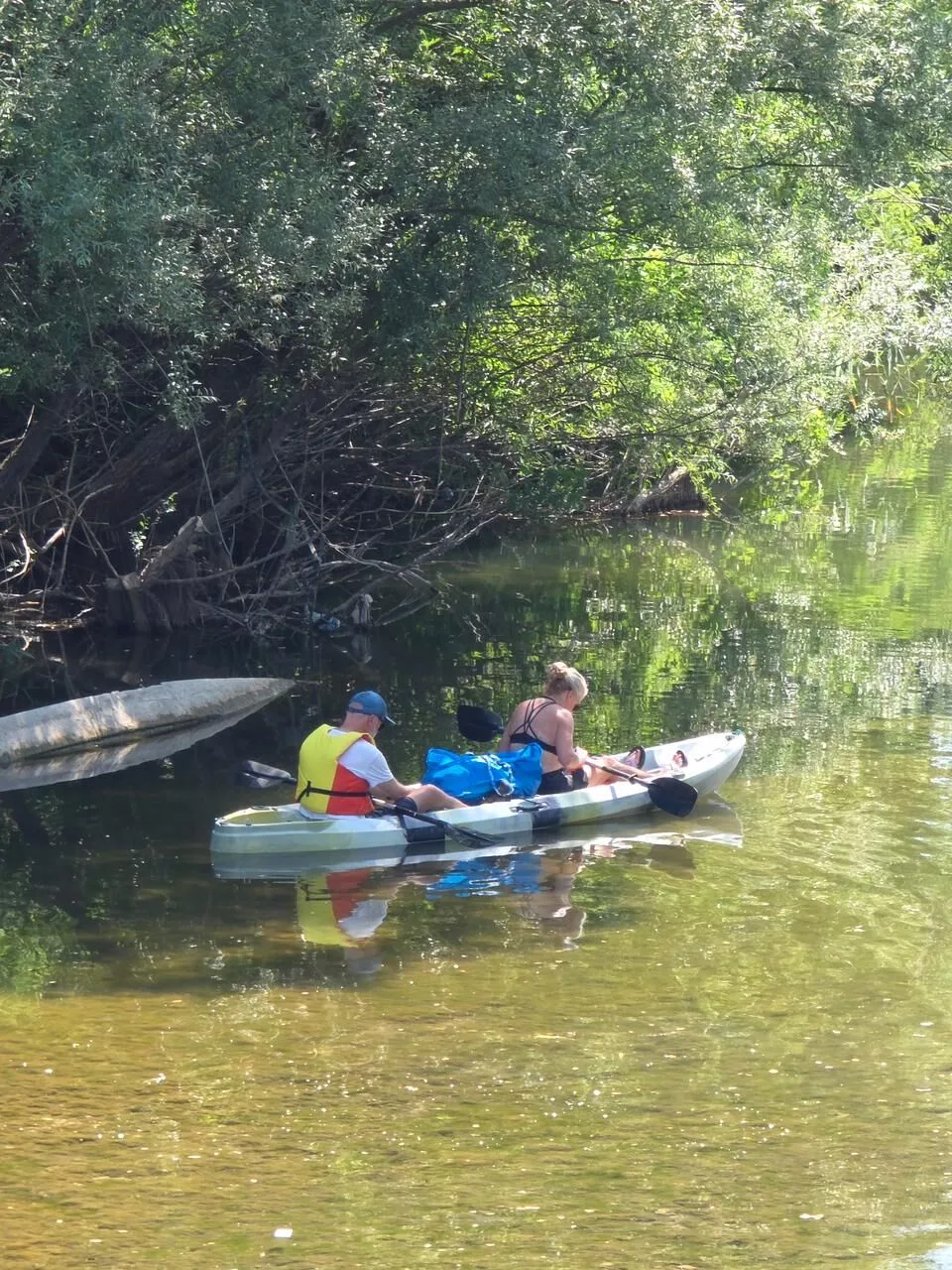 Kayaking through Skadar Lake nature